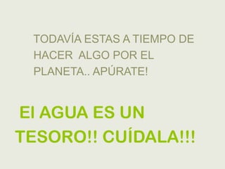 TODAVÍA ESTAS A TIEMPO DE
 HACER ALGO POR EL
 PLANETA.. APÚRATE!


El AGUA ES UN
TESORO!! CUÍDALA!!!
 