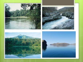 Contaminacion del agua