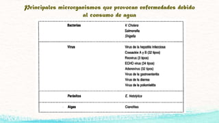 Contaminacion del agua | PPSX