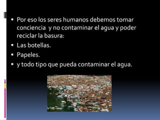  Por eso los seres humanos debemos tomar
conciencia y no contaminar el agua y poder
reciclar la basura:
Las botellas.
Papeles.
y todo tipo que pueda contaminar el agua.