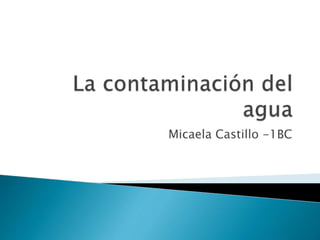 Micaela Castillo -1BC
 