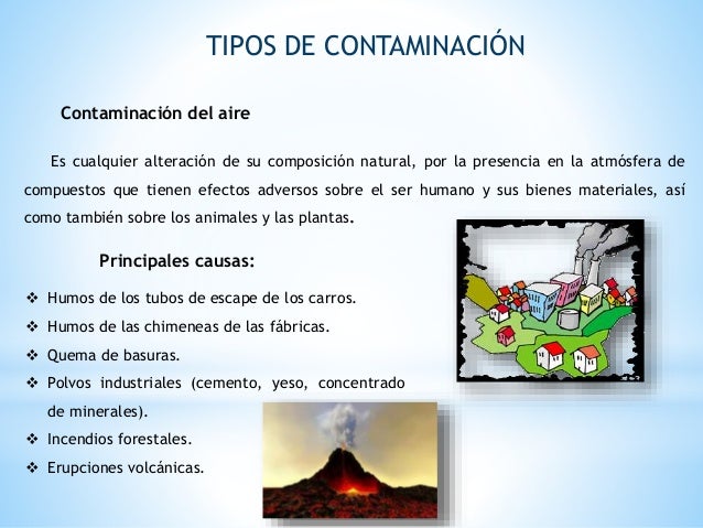 Contaminacion del agua y el aire pierina fernandez