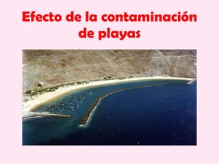 Efecto de la contaminación de playas 