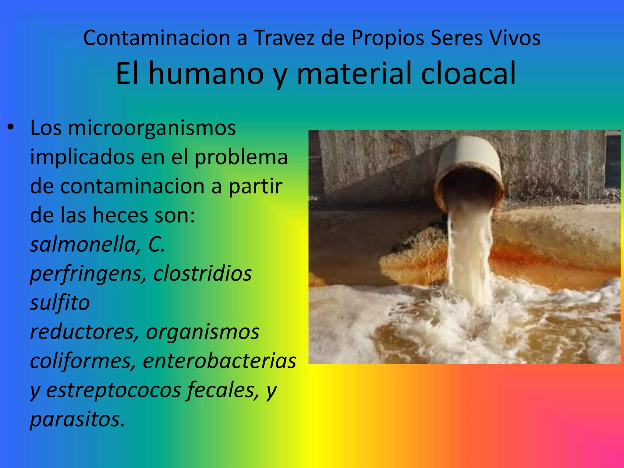 Contaminacion De Los Alimentos PPTX