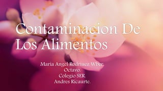 Contaminacion De
Los Alimentos
Maria Angel Rodriuez Wber.
Octavo.
Colegio SER.
Andres Ricaurte.
 