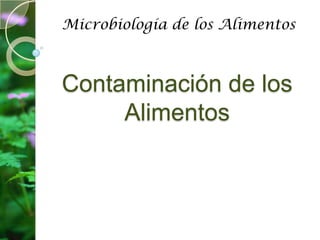 Microbiología de los Alimentos Contaminación de los Alimentos  