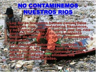 NO CONTAMINEMOS
NUESTROS RIOS
• Los Seres humanos hemos convertidos
nuestros ríos, en verdaderos basureros,
y no hemos tenido en cuenta que los ríos
son una fuente de vida, un excelente
medio de transporte, y nos proporcionan
alimentos.
• Los procesos industriales también
contaminan los rios porque vierten sus
aguas residuales directamente a ellos,
sin ser tratadas para eliminar los
agentes contaminantes.
 
