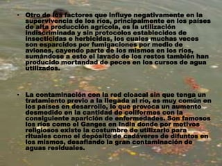 • Otro de los factores que influye negativamente en la
supervivencia de los ríos, principalmente en los países
de alta producción agrícola, es la utilización
indiscriminada y sin protocolos establecidos de
insecticidas e herbicidas, los cuales muchas veces
son esparcidos por fumigaciones por medio de
aviones, cayendo parte de los mismos en los ríos,
sumándose a esto el lavado de los restos también han
producido mortandad de peces en los cursos de agua
utilizados.
• La contaminación con la red cloacal sin que tenga un
tratamiento previo a la llegada al río, es muy común en
los países en desarrollo, lo que provoca un aumento
desmedido en la cantidad de coliformes con la
consiguiente aparición de enfermedades. Son famosos
los ríos como el Ganges en India donde por motivos
religiosos existe la costumbre de utilizarlo para
rituales como el depósito de cadáveres de difuntos en
los mismos, desafiando la gran contaminación de
aguas residuales.
 