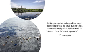 Será que estamos tratando bien esta
pequeña parcela de agua dulce que es
tan importante para sustentar toda la
vida terres...