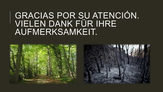 GRACIAS POR SU ATENCIÓN.
VIELEN DANK FÜR IHRE
AUFMERKSAMKEIT.
 