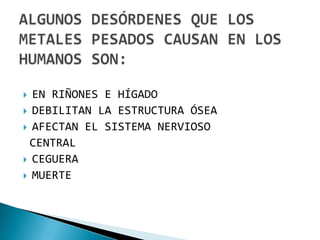  EN RIÑONES E HÍGADO
 DEBILITAN LA ESTRUCTURA ÓSEA
 AFECTAN EL SISTEMA NERVIOSO
 CENTRAL
 CEGUERA
 MUERTE
 