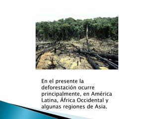 En el presente la
deforestación ocurre
principalmente, en América
Latina, África Occidental y
algunas regiones de Asia.
 