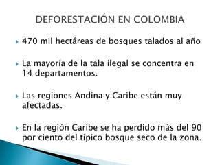    470 mil hectáreas de bosques talados al año

   La mayoría de la tala ilegal se concentra en
    14 departamentos.

   Las regiones Andina y Caribe están muy
    afectadas.

   En la región Caribe se ha perdido más del 90
    por ciento del típico bosque seco de la zona.
 