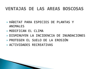    HÁBITAT PARA ESPECIES DE PLANTAS Y
    ANIMALES
   MODIFICAN EL CLIMA
   DISMINUYEN LA INCIDENCIA DE INUNDACIONES
   PROTEGEN EL SUELO DE LA EROSIÓN
   ACTIVIDADES RECREATIVAS
 