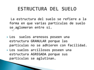 La estructura del suelo se refiere a la
    forma en que varias partículas de suelo
    se aglomeran entre sí.

   Los suelos arenosos poseen una
    estructura GRANULAR porque las
    partículas no se adhieren con facilidad.
   Los suelos arcillosos poseen una
    estructura AGREGADA porque sus
    partículas se aglutinan.
 