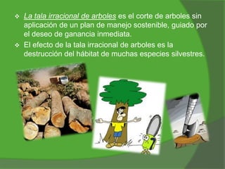



La tala irracional de arboles es el corte de arboles sin
aplicación de un plan de manejo sostenible, guiado por
el deseo de ganancia inmediata.
El efecto de la tala irracional de arboles es la
destrucción del hábitat de muchas especies silvestres.

 