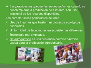 

Las practicas agropecuarias inadecuadas, es cuando se
busca mejorar la producción de alimento, con uso
irracional de los recursos disponibles.
Las características particulares del área:
 Uso de insumos que trastornan procesos ecológicos
esenciales.
 Uniformidad de tecnologías en ecosistemas diferentes.
 Tecnología mal empleada.
 Un agroquímico es una sustancia química sintética
usada para la producción agropecuaria.

 