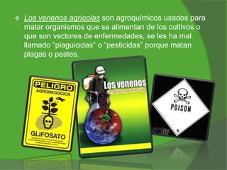 

Los venenos agrícolas son agroquímicos usados para
matar organismos que se alimentan de los cultivos o
que son vectores de enfermedades, se les ha mal
llamado “plaguicidas” o “pesticidas” porque matan
plagas o pestes.

 