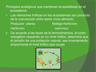 Principios ecológicos que mantienen la estabilidad en el
ecosistema:
1. Las relaciones tróficas en los ecosistemas son producto
de la coevolución entre seres vivos-alimento.
Productor -planta
fitófago-herbívoro
Herbívoro
carnívoro
2. De acuerdo a las leyes de la termodinámica, el costo
energético requerido en un nivel trófico, determina que
el tamaño de una población natural, sea inversamente
proporcional al nivel trófico que ocupa.

 