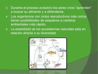 Durante el proceso evolutivo los seres vivos “aprenden”
a buscar su alimento y a defenderse.
4. Los organismos con ciclos reproductivos más cortos
tienen posibilidades de adaptarse a cambios
ambientales más rápido.
5. La estabilidad de los ecosistemas naturales esta en
relación directa a su diversidad.
3.

 