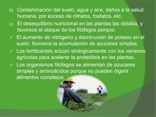 b)
c)




Contaminación del suelo, agua y aire, daños a la salud
humana, por exceso de nitratos, fosfatos, etc.
El desequilibrio nutricional en las plantas las debilita, y
favorece el ataque de los fitófagos porque:
El aumento de nitrógeno y disminución de potasio en el
suelo, favorece la acumulación de azucares simples.
Los fertilizantes actúan sinérgicamente con los venenos
agrícolas para acelerar la proteólisis en las plantas.
Los organismos fitófagos se alimentan de azucares
simples y aminoácidos porque no pueden digerir
alimentos complejos.

 