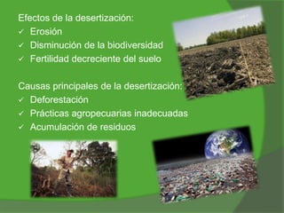 Efectos de la desertización:
 Erosión
 Disminución de la biodiversidad
 Fertilidad decreciente del suelo
Causas principales de la desertización:
 Deforestación
 Prácticas agropecuarias inadecuadas
 Acumulación de residuos

 