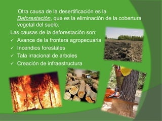 Otra causa de la desertificación es la
Deforestación, que es la eliminación de la cobertura
vegetal del suelo.
Las causas de la deforestación son:
 Avance de la frontera agropecuaria
 Incendios forestales
 Tala irracional de arboles
 Creación de infraestructura

 