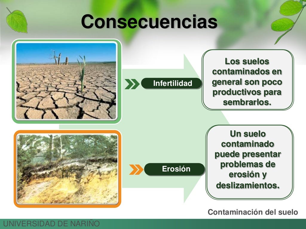 Contaminacion del suelo