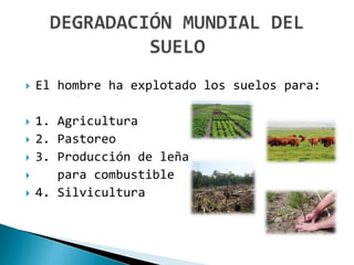  El hombre ha explotado los suelos para:
 1. Agricultura
 2. Pastoreo
 3. Producción de leña
 para combustible
 4. Silvicultura
 