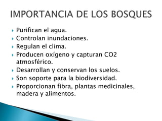  Purifican el agua.
 Controlan inundaciones.
 Regulan el clima.
 Producen oxígeno y capturan CO2
atmosférico.
 Desarrollan y conservan los suelos.
 Son soporte para la biodiversidad.
 Proporcionan fibra, plantas medicinales,
madera y alimentos.
 