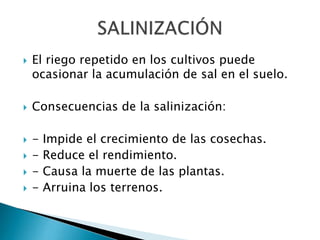  El riego repetido en los cultivos puede
ocasionar la acumulación de sal en el suelo.
 Consecuencias de la salinización:
 - Impide el crecimiento de las cosechas.
 - Reduce el rendimiento.
 - Causa la muerte de las plantas.
 - Arruina los terrenos.
 