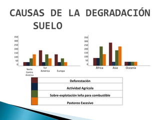 350
300
250
200
150
100
50
0
Norte
Centro
América
Sur
América Europa
350
300
250
200
150
100
50
0
África Asia Oceanía
Deforestación
Actividad Agrícola
Sobre-explotación leña para combustible
Pastoreo Excesivo
 