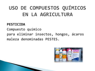 PESTICIDA
Compuesto químico
para eliminar insectos, hongos, ácaros
maleza denominadas PESTES.
 