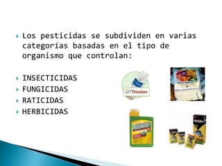  Los pesticidas se subdividen en varias
categorías basadas en el tipo de
organismo que controlan:
 INSECTICIDAS
 FUNGICIDAS
 RATICIDAS
 HERBICIDAS
 