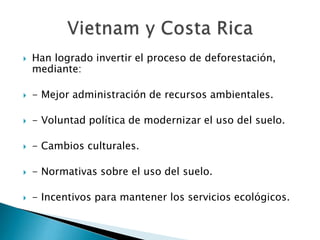  Han logrado invertir el proceso de deforestación,
mediante:
 - Mejor administración de recursos ambientales.
 - Voluntad política de modernizar el uso del suelo.
 - Cambios culturales.
 - Normativas sobre el uso del suelo.
 - Incentivos para mantener los servicios ecológicos.
 