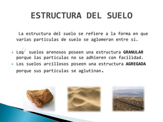 La estructura del suelo se refiere a la forma en que
varias partículas de suelo se aglomeran entre sí.
 Los suelos arenosos poseen una estructura GRANULAR
porque las partículas no se adhieren con facilidad.
 Los suelos arcillosos poseen una estructura AGREGADA
porque sus partículas se aglutinan.
 