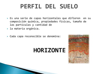  Es una serie de capas horizontales que difieren en su
composición química, propiedades físicas, tamaño de
las partículas y cantidad de
 la materia orgánica.
 Cada capa reconocible se denomina:
HORIZONTE
 