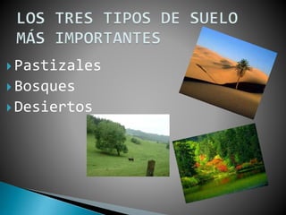  Pastizales
 Bosques
 Desiertos
 