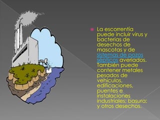 La escorrentía puede incluir virus y bacterias de desechos de mascotas y de sistemas de pozos sépticos averiados. También puede contener metales pesados de vehículos, edificaciones, puentes e instalaciones industriales; basura; y otros desechos. 