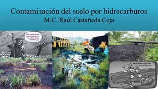 Contaminación del suelo por hidrocarburos
M.C. Raúl Castañeda Ceja
 