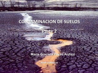 CONTAMINACION DE SUELOS
           Parte 2



    María Graciela Pozzo Ardizzi

          IRAM COMAHUE
 