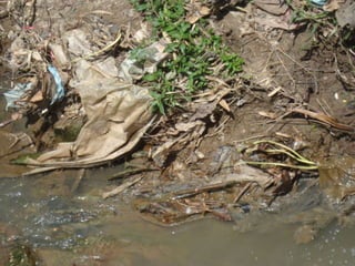Latas EL RESIDUO SOLIDO QUE MAS CONTANINA A LA COMUNIDADEs la basura  cuando  la botan a la rio , cañosY  produce un olor  que contamina el ambiente que nos puede afectar y nos puede causar una enfermedad 