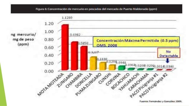 Datos Estadisticos De La Contaminacion En El Peru