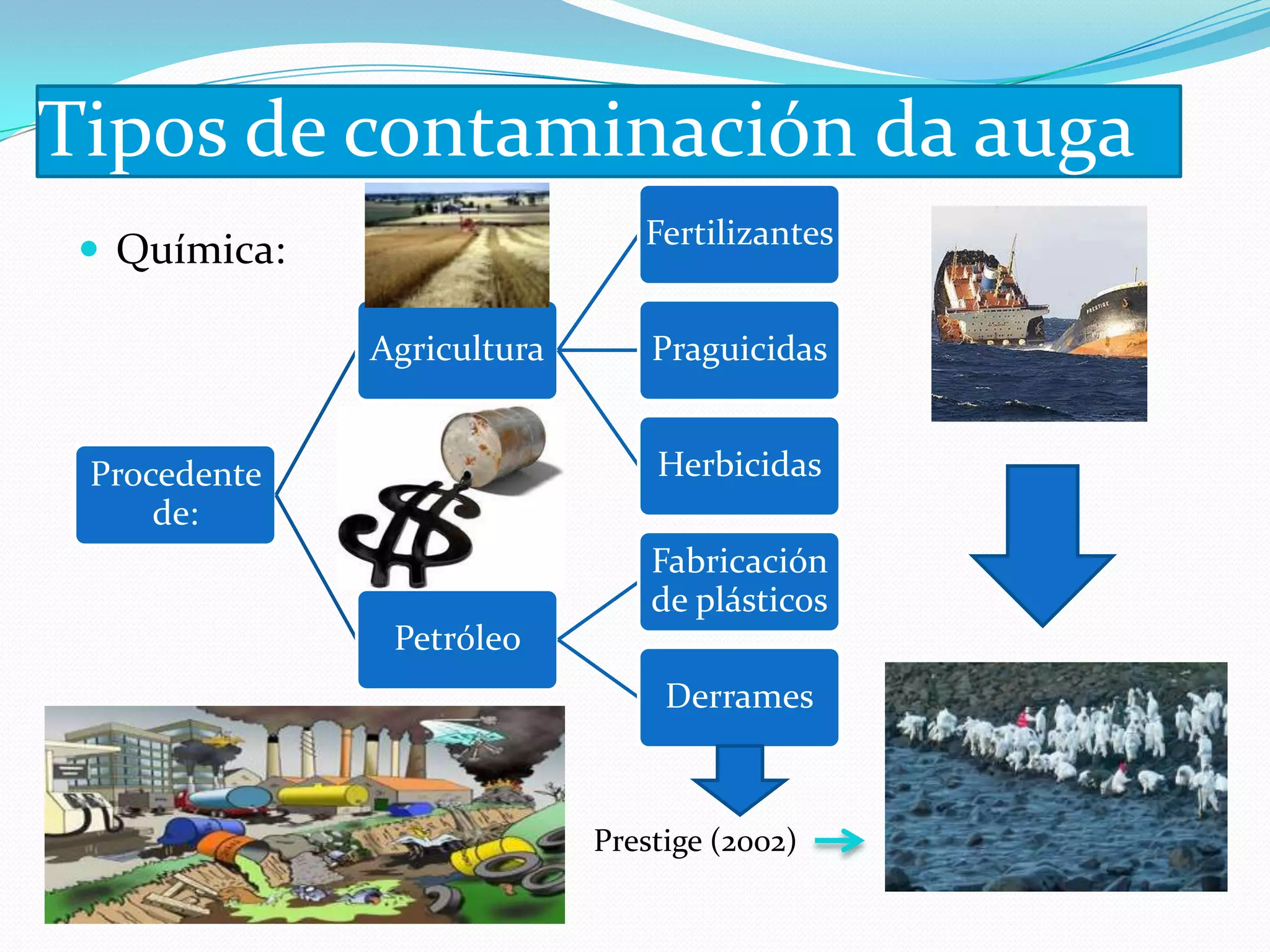 Tipos de contaminación da auga
                               Fertilizantes
  Química:

              Agricultura       Praguicidas


 Procedente                     Herbicidas
     de:
                                Fabricación
                                de plásticos
               Petróleo
                                 Derrames



                            Prestige (2002)
 