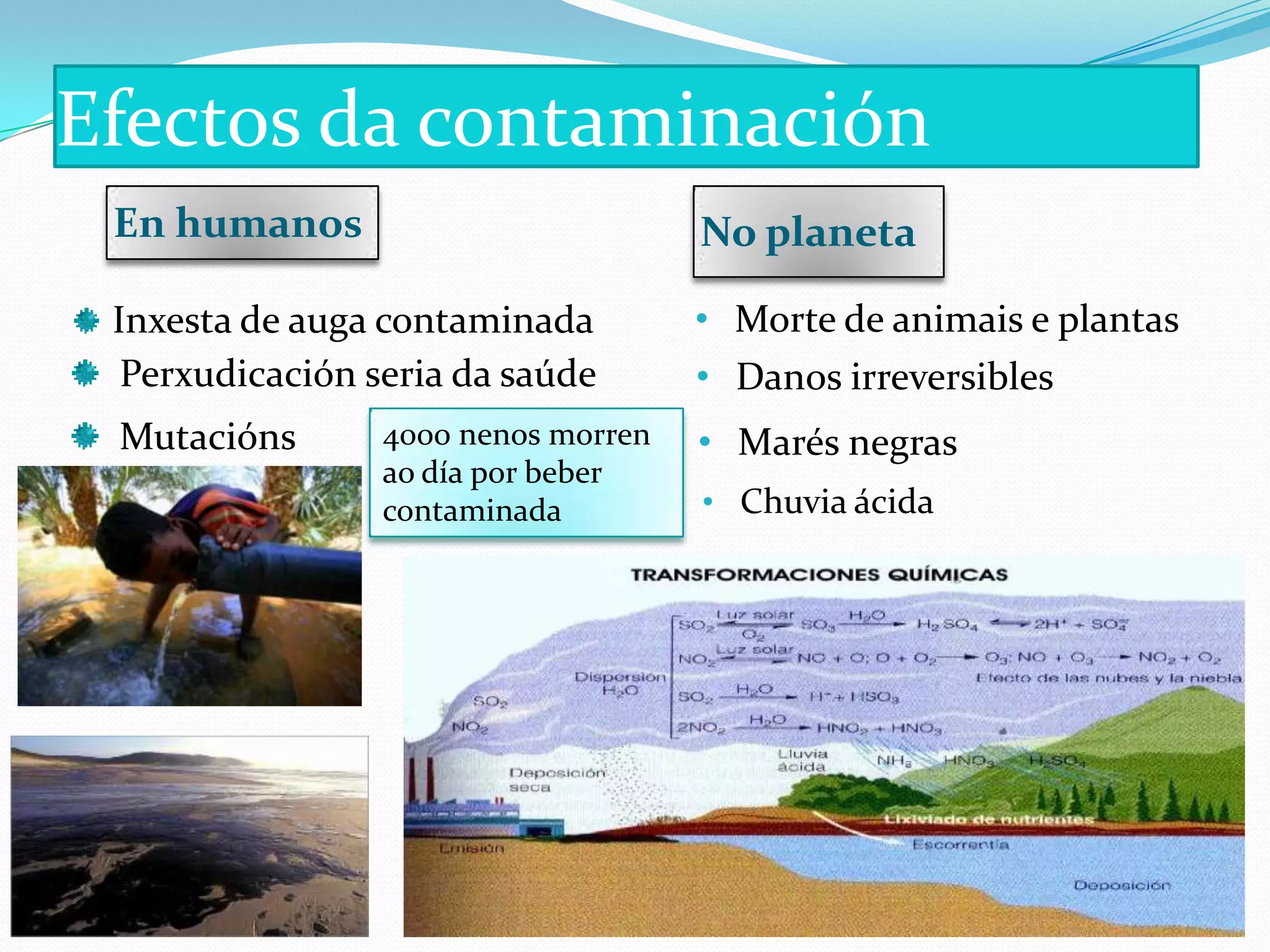 Efectos da contaminación
 En humanos                          No planeta

 Inxesta de auga contaminada         • Morte de animais e plantas
  Perxudicación seria da saúde       • Danos irreversibles
 Mutacións       4000 nenos morren   • Marés negras
                 ao día por beber
                 contaminada         • Chuvia ácida
 