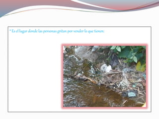 * Es el lugar donde las personas gritan por vender lo que tienen:
 