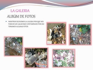 LA GALERIA
ALBÚM DE FOTOS
 NOSOTROS ESCOGIMOS LA GALERIA POR QUE NOS
PARECIO UN LUGAR MUY CONTAMINADO POR ESO
TOMAMOS ALGUNAS FOTOS:
 