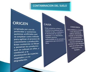 CONTAMINACION DEL SUELO
 