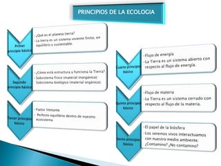 PRINCIPIOS DE LA ECOLOGIA
 