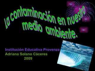 Institución Educativa Provenza  Adriana Solano Cáceres 2009   La contaminación en nuestro  medio  ambiente. 